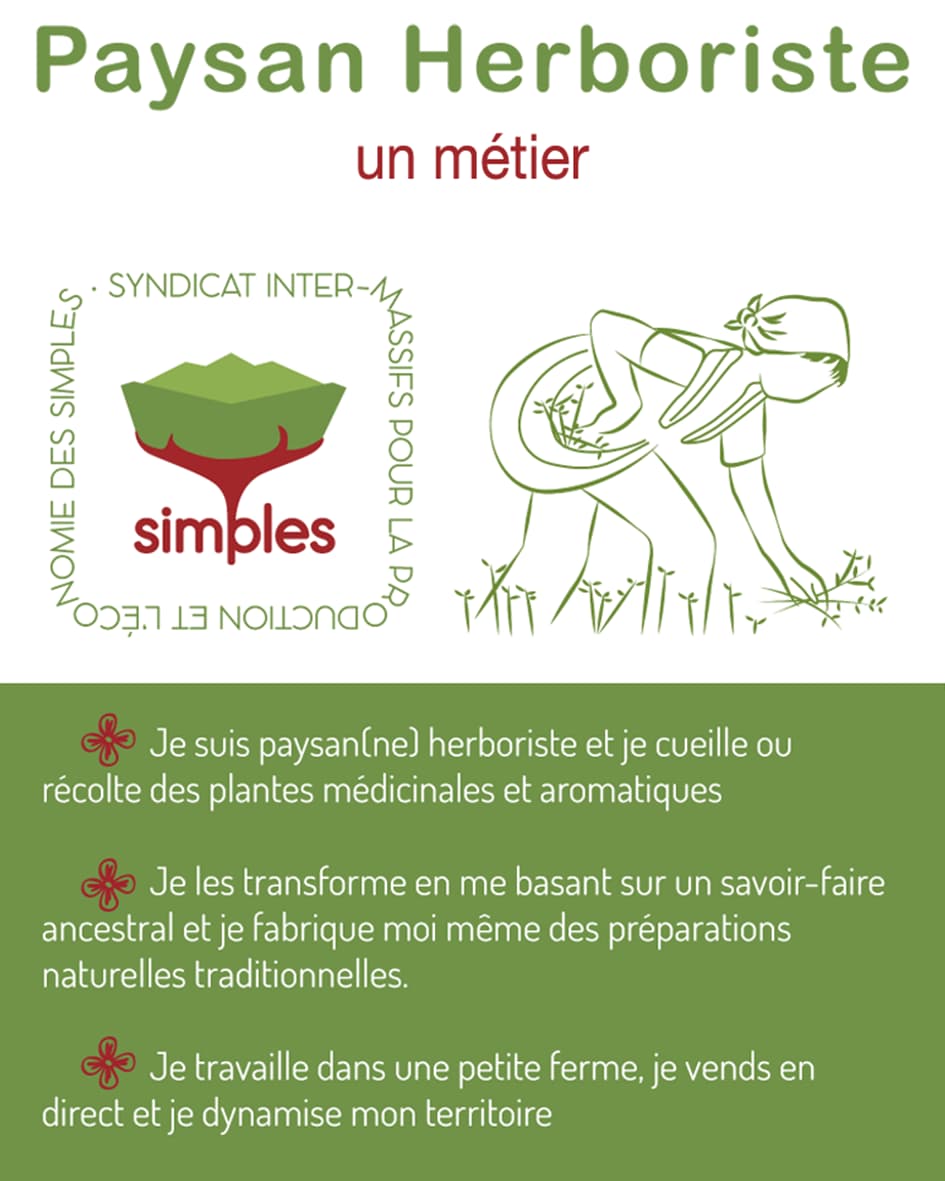 flyer-1